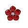 Delicate Poppy Flower Rhinestones Brooches Pins Minimalist Red Enamel Flowers Brooch Classic for Wedding Party Dance Banquet for Women Ladies Girls Dainty Elegant Beautiful Lapel Pins Dress Suit Shirt