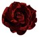 3.5" Red Velvet Rose Brooch Pin Flower Pin Made in USA M&amp;S Schmalberg