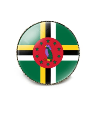 vmcoatdu Round 1 Inch Domeanick Dominica Flag Pin International Travel Brooch Metal and Glass Revivalism Style Souvenir Badge for Hat Clothes Backpack