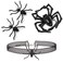 yfstyle Halloween Costumes Choker Necklace Earrings Ring Set Halloween Funny Spider Earrings Black Choker with Spider Charm Vintage Cool Ring Cosplay Accessories Goth Jewelry Sets for Women Spider