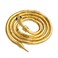 KUIYAI Flexible Bendable Snake Necklace Wrap Bangle Twistable Snake Jewelry Snake Rings Snake Earrings(Gold)