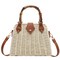 Cross Body Handbags for Women Straw Woven Beach Bag 2025 Summer Handmade Purses Wicker Rattan Bag Holiday