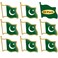 50/Pcs Pakistan Flag Lapel Pins Bulk - Metal Pakistani National Lapel Pin Brooch Badge Souvenir for Men Women Clothes Bags Hats