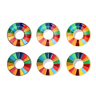 BaronHong Sustainable Development Goals Brooch,United Nations SDGs Pin Badge,Rainbow Lapel Pin,Enamel Pin Decoration(6-pack,M)