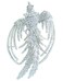 Sindary 3.54" Pretty Bird Animal Austrian Crystal Pendant Phoenix Brooch Pin BZ2338 (Silver Tone Clear)