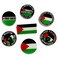 Palestine Flag Pin Free Palestine Lapel Pins Bulk Watermelon Pin Palestine National Brooches Lapel Pin Support Campaign Charity Donation Event Gift Accessories(7 Pcs)