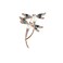 WLLAY Silver Tone Couple Dragonfly with White Pearl Brooch Blue Enamel Insect Pin Broach (Rose Gold)