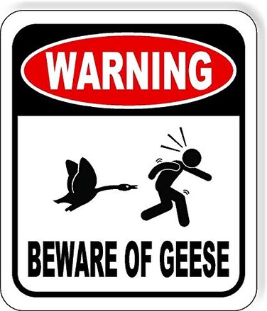Warning Beware Of Geese Aluminum Composite Outdoor Sign - Wall Decor Signs - Home Sign - Private Property Signs - Animal Crossing Decor Warning Signs - Geese Crossing Sign - 8.5" X 10