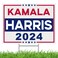 Kamala Harris Yard Sign for President 2024,Harris Yard Sign Outdoor We Are Not Going Back,17" x 12" With Metal H Stake Waterproof Double Sided For Democracy President Vote Lawn Sign