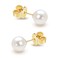 14K Yellow Gold 6.5-7mm White Freshwater Cultured Pearl Stud Earrings for Women-AAA Quality