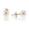 PAVOI 18K Yellow Gold Plated Sterling Silver Round Stud White Simulated Shell Pearl Earrings - 6mm