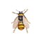 Cute Red Crystal Bee Brooch Pin Rhinestone Animal Lapel Brooches Novelty Funny Pins Fashion Jewelry Suit Brooches Accessories for Women Men (Black enamel bee)