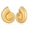 LILIE&amp;WHITE Worn Gold Conch Shell Earrings Seashell Stud Earrings For Women Seashore Earrings Nautical Jewelry For Women Sea Life Jewelry Gold Earrings Beach Earrings Summer Jewelry