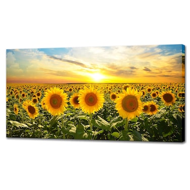 Biuteawal Sunflower Canvas Print Wall Art Sunset Landscape Pictures Flower Field Artwork Modern Painting for Home Kitchen Bedroom Dining Room Stretched and Framed Ready to Hang