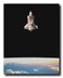 Space Shuttle in Space NASA Educational Wall Decor Art Print Poster (16x20)
