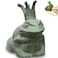 suweisua Cast Iron Frog Garden Statue Decor, Frog Pond Sitter Figurine, Frog Sculpture 6.3inches with Crown for Patio, Frog Garden Accent, Cute Outside Ornament, Heavy Duty Weights 4.4lbs