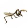 NUOBESTY Copper Praying Mantis, Feng Shui Brass Mantis Statue Animal Garden Sculpture Figurine for Art Graden Yard Tea Table Easter Feastival Decor Collectible Gold