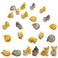 Exasinine 18 Pcs Miniature Cat Figurines Cute Mini Kittens Miniature Figurines Animals Model Fairy Garden Miniature Moss Landscape DIY Terrarium Crafts Ornament Accessories for Home