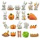 Pinenjoy 21Pcs Mini Rabbit and Carrot Figurines 1inch Cute Resin Bunny Cake Toppers for DIY Fairy Garden Dollhouse Moss Landscape Crafts Easter Decors