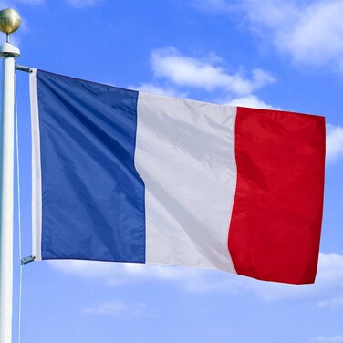 ZSDI France Flag 3*5 FT,Heavy Duty Nylon 210D Outdoor UV Fade ResistantFrench Flag，Sewn Stripes and Tough Brass Grommets(3 by 5 Foot)