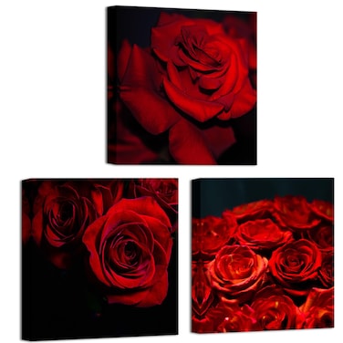 Fochorlo 3 Pieces Rose Wall Art Black and White Red Pictures Abstract Wall Decor for Valentines Bedroom Living room (Small)