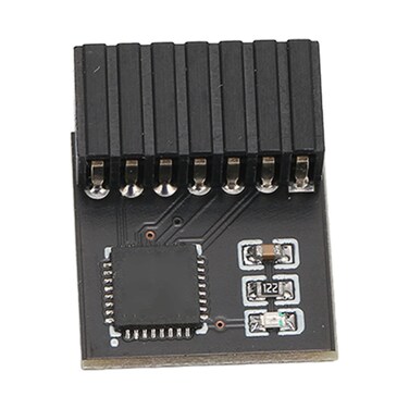 CCYLEZ TPM 2.0 Module, TPM SPI 14 Pin Module for Motherboard, TPM 2.0 Encryption Security Module, Portable TPM 2.0 Remote Card Compatible with TPM2.0 for BitLocker