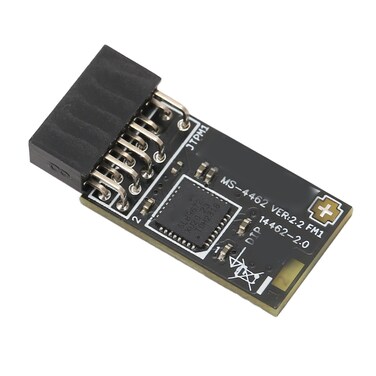 TPM 2.0 Module, TPM SPI Module 12Pin Encryption Security Module with SLB 9672, for Motherboard, for 10 11
