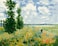YEESAM ART Paint by Numbers for Adults, Poppy Field by Monet 16x20 Inch Linen Canvas Acrylic DIY Number Painting Kits Wall Art Decor Gifts (Framed)