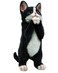 Elenon Cat Garden Statue Decorative for Yard, Praying Black &amp; White Cat Figurines Home Lawn Decor, Patio Kitten Tuxedo Statues Pets Memorial Ornament for Cat Lovers