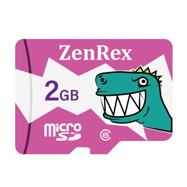 ZenRex 2GB Micro SD C6 Memory Card for Camera Tablet Smartphone