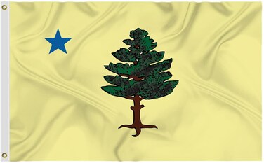 1901-1909 Maine Flag 3x5 Ft Large,Premium Silk Fabric -ME State United States Flags Decoration Gift Yard House Outdoor Banner 90x150cm