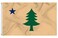 1901-1909 Maine Flag 3x5 Ft,Made of Glossy Fabric -Silk-USA State United States Flags Decoration Gift Yard House Banner