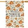 Baccessor Fall Garden Flag 12.5 x 18 Inch Double Sided Burlap Harvest Hello Pumpkin Welcome Thanksgiving Day Yard Flag Holiday Seasonal Outdoor Outside Decoration