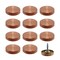 Rannb Decorative Mirror Screws Red Copper Tone Vintage Cap Cover Nails 1&quot;/25mm Cap Dia 304 Stainless Steel Screw Covers Caps Brushed -12pcs