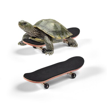 JJMOLLE Turtle Skateboard, Mini Skateboard for Turtle with Anti-Slip Pad, Turtle Skateboard for Turtle, Toys for Turtles with Smooth Rolling Wheels, Tortoise Toys, Bird Toys