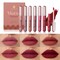 YOUNG VISION 6-Pc Matte Nude Liquid Lipstick Set - Long-Lasting &amp; Pigmented Shades, Lip Gloss Bundle Gift Collection for Girls/Women