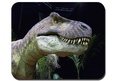Dinosaur Mouse Pad Anti-Slip Personalized Rectangle Gaming Mouse Pads Size:9.4" x7.9' (10#)