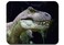 Dinosaur Mouse Pad Anti-Slip Personalized Rectangle Gaming Mouse Pads Size:9.4" x7.9' (10#)