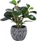 Artificial Plants for Decor Indoor Faux Plants with Pot Real Looking Fiddle Leaf Fake Plant Plastic Watercress Leaves Small Faux Trees with Cement Planter Green Plant Table Decor for Home Indoor