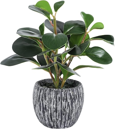 Artificial Plants for Decor Indoor Faux Plants with Pot Real Looking Fiddle Leaf Fake Plant Plastic Watercress Leaves Small Faux Trees with Cement Planter Green Plant Table Decor for Home Indoor