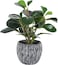 Artificial Plants for Decor Indoor Faux Plants with Pot Real Looking Fiddle Leaf Fake Plant Plastic Watercress Leaves Small Faux Trees with Cement Planter Green Plant Table Decor for Home Indoor