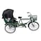 3 Wheel Rickshaw Model, Cute Rickshaw Model Small Compact for Bar (Green)
