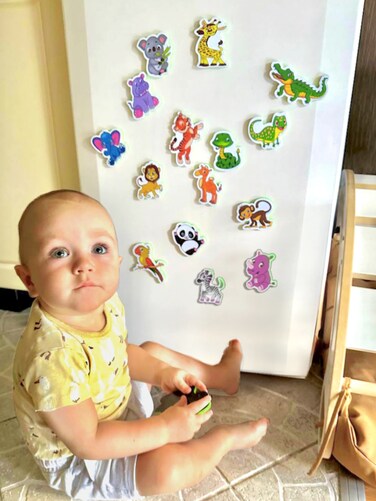LIENO ROSIO 16 Big Funny Zoo Animals Magnets for Toddlers Age 1-3 - Refrigerator Magnets for Kids Animal Toys for Toddlers 1-3 Magnetic Toys Toddler Toys Age 1-2 Educational Toys for 1 Year Old