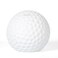 H&amp;W Golf Ball Piggy Bank, Shatterproof Golf Sports Themed Coin Bank, Gift for Kids Ladies Gentlemen
