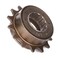 Joyzan Single Speed Freewheel, Bike Flywheel Sprocket 14T Metal Fixed Gear Bicycle Parts Conversion Kit Threaded Type Freehub Cycling Replacement Bronze Accessory for Mountain Road Folding Bikes