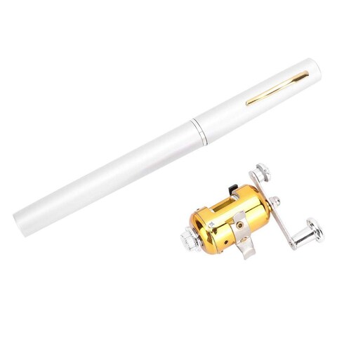 Pwshymi Pen Fishing Rod Reel Combo Set Portable Mini Pocket Collapsible Fishing Pole with Reel Wheel for Saltwater Freshwater Fishing Pole and Reel Combo(Silver) Ca?as de pescar