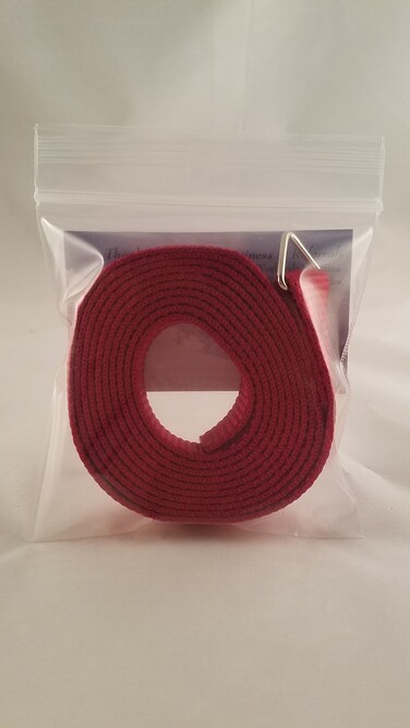 New Premium Drag Strap/Belt for NordicTrack Skier/Ski Machines: Fits PRO (Classic) - Excel/505 - Sequoia/303 - Challenger &amp; Other Skier Models requiring a Ring on ONE end of Strap.