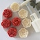 Vctitil 5Pcs Moon Cake Mold Set,Mid Autumn Festival DIY Hand Press Cookie Stamps DIY Baking Tool Rose Flower Mold Patterns Mooncake Maker Pastry Mould(50g)