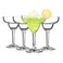 Reusable Plastic Margarita Glasses Set of 4, 9oz(250ml), Heavy Duty, 145 Grams, Unbreakable Plastic Cocktail Glasses, BPA Free, Dishwasher Safe, Perfect for Poolside, Outdoors, Camping, and More