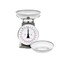 MARLIZ 11 lb/ 5Kg Old Antique Style Mechanical Kitchen Scale with 2 Bowls  Food Scale for Kitchen  Analog Kitchen Scale Kilogram/pounds  Analog Food Weight Scales  Meat Scale Grey